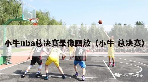 小牛nba总决赛录像回放（小牛 总决赛）