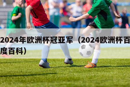 2024年欧洲杯冠亚军（2024欧洲杯百度百科）