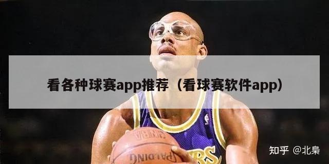 看各种球赛app推荐（看球赛软件app）