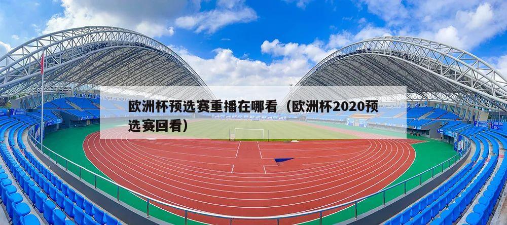 欧洲杯预选赛重播在哪看（欧洲杯2020预选赛回看）