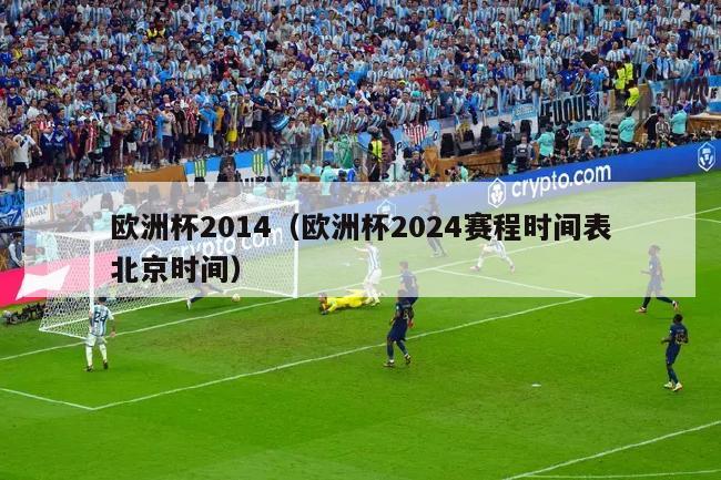 欧洲杯2014（欧洲杯2024赛程时间表北京时间）