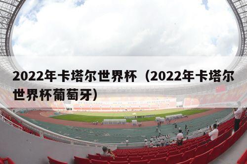 2022年卡塔尔世界杯（2022年卡塔尔世界杯葡萄牙）