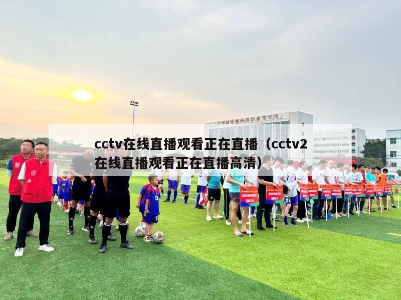 cctv在线直播观看正在直播（cctv2在线直播观看正在直播高清）