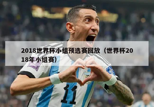 2018世界杯小组预选赛回放（世界杯2018年小组赛）