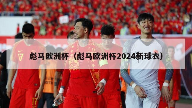 彪马欧洲杯（彪马欧洲杯2024新球衣）