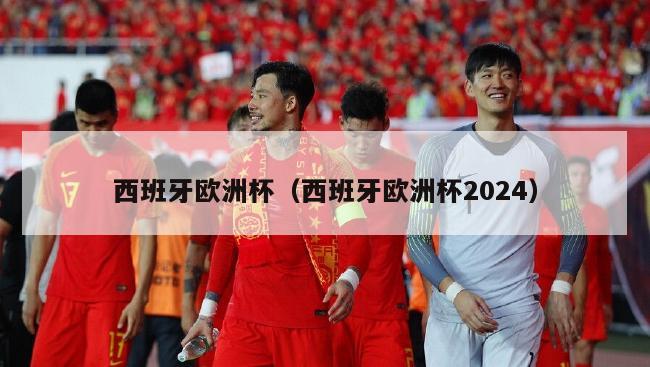 西班牙欧洲杯（西班牙欧洲杯2024）