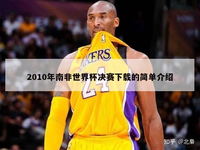 2010年南非世界杯决赛下载的简单介绍