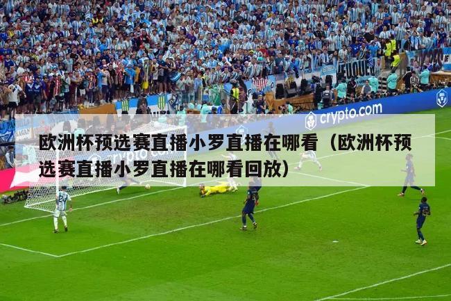 欧洲杯预选赛直播小罗直播在哪看（欧洲杯预选赛直播小罗直播在哪看回放）