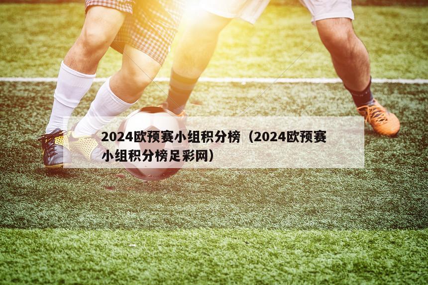 2024欧预赛小组积分榜（2024欧预赛小组积分榜足彩网）