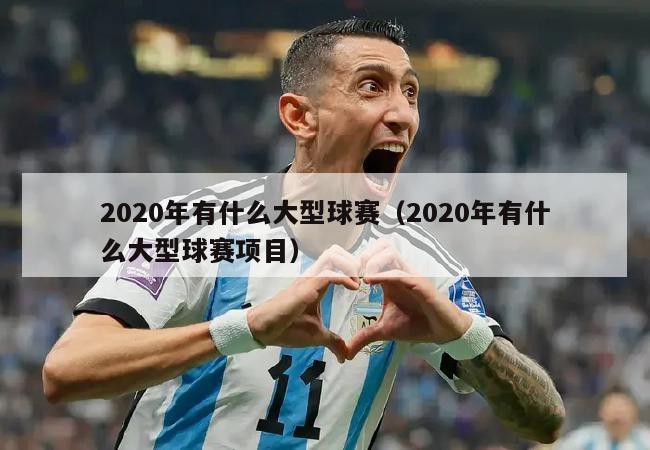 2020年有什么大型球赛（2020年有什么大型球赛项目）