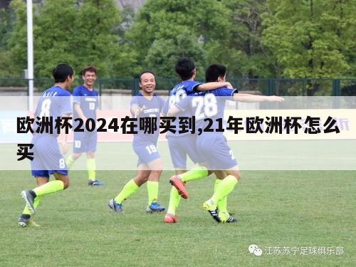 欧洲杯2024在哪买到,21年欧洲杯怎么买