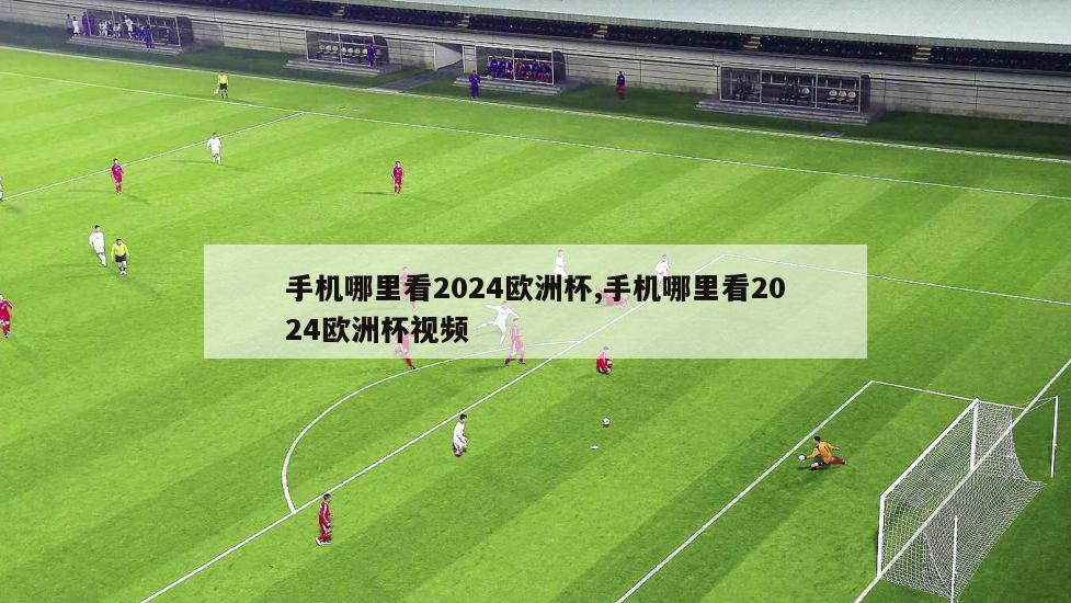 手机哪里看2024欧洲杯,手机哪里看2024欧洲杯视频