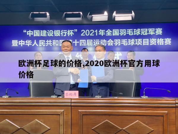 欧洲杯足球的价格,2020欧洲杯官方用球价格